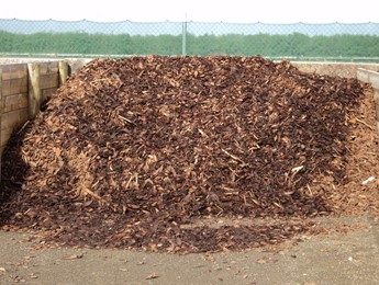 Heavy Bark