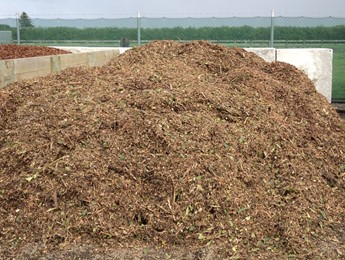 Mulch